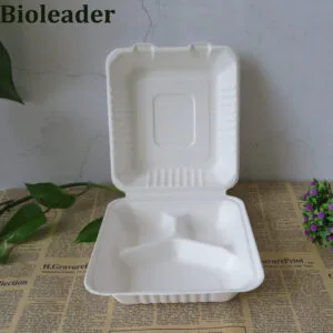 Eco Friendly Sugarcane Bagasse Takeaway Containers For Food