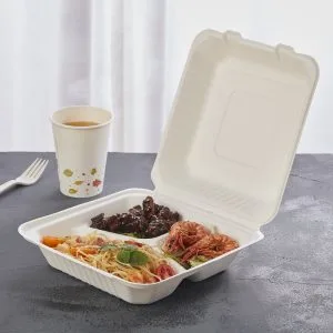 Milieuvriendelijke biologisch afbreekbare lunchpakketten