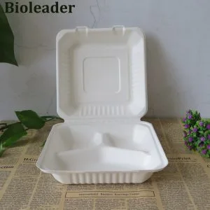Milieuvriendelijke biologisch afbreekbare lunchpakketten