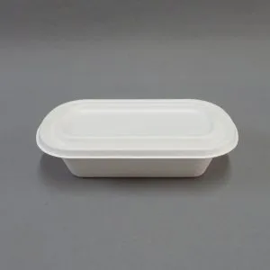 Kompostierbare Lunchbox aus Zuckerrohr mit Deckel
