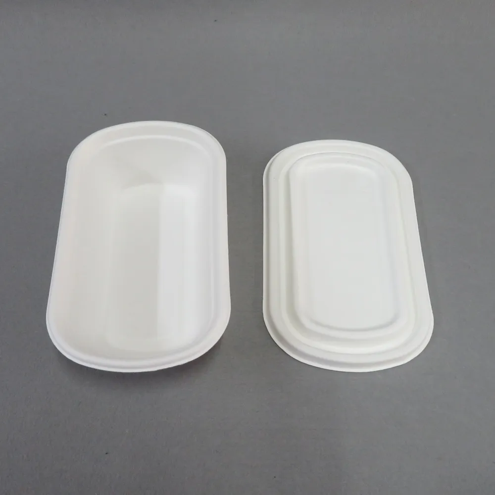 Одноразовые контейнеры с крышками для продуктов