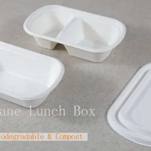Boîte alimentaire jetable 100% Compostable Vrac Vente en gros