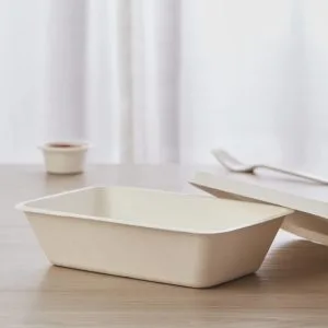 BPA PFAS freie biologisch abbaubare Lebensmittelbehälter mit Deckeln