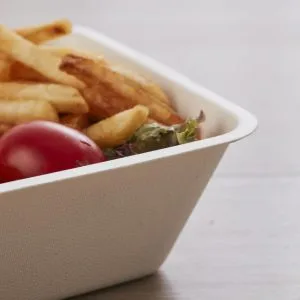 Recipientes descartáveis biodegradáveis para comida para levar
