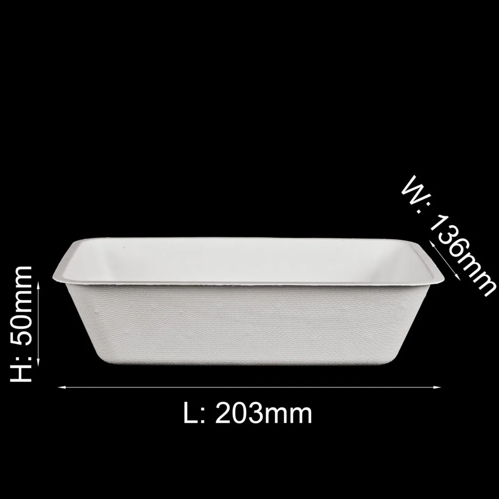 蓋付きBPA PFASフリー生分解性食品容器