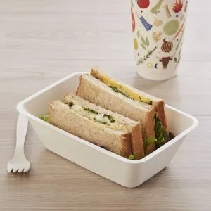 Disposable Biodegradable Takeaway Containers for Food