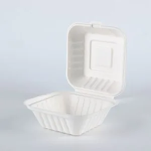 Scatola per hamburger ecologica e compostabile