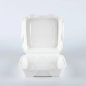Eco Friendly Compostable Food Containers to Go