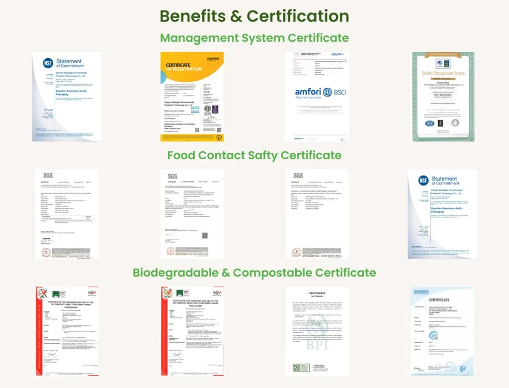 サトウキビバガス食器は安全か？