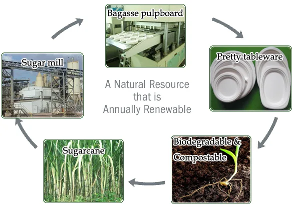 What Are The Characteristics, Advantages And Disadvantages, And Application Scope Of Sugarcane Bagasse Tableware? What Are The Characteristics, Advantages And Disadvantages, And Application Scope Of Sugarcane Bagasse Tableware?
