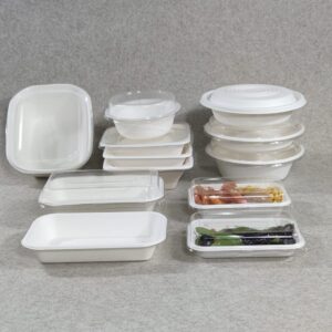 Vassoio per sushi biodegradabile monouso con coperchio