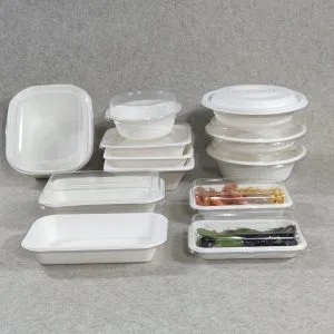 Biologisch abbaubares Einwegtablett für Sushi mit Deckel