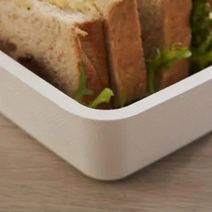 BPA PFAS freie biologisch abbaubare Lebensmittelbehälter mit Deckeln