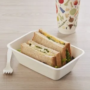 Recipientes descartáveis biodegradáveis para comida