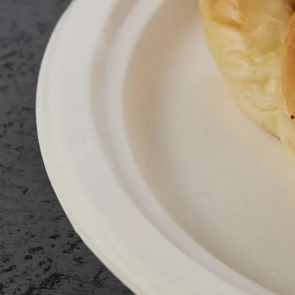 Piatti di carta ecologici Party Dinner