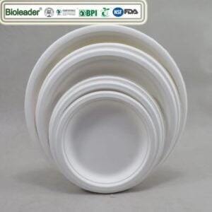 Plaat van suikerrietbagasse