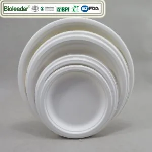 Plaque de bagasse de canne à sucre