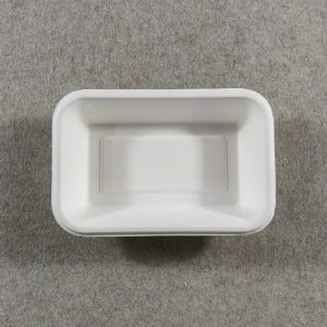 Compostable Disposable Sandwich Trays with Lids