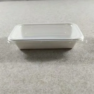 Compostable Disposable Sandwich Trays with Lids
