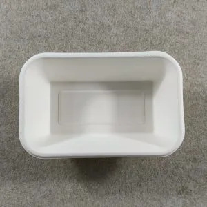 Bagasse Einweg-Lebensmittelschalen mit Deckeln Abdeckungen