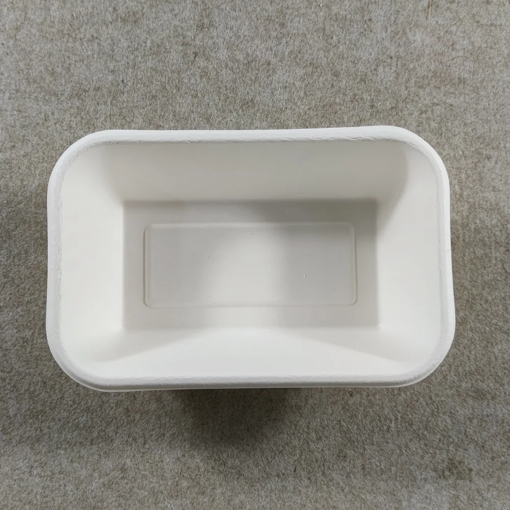 Bagasse Disposable Food Trays with Lids Covers