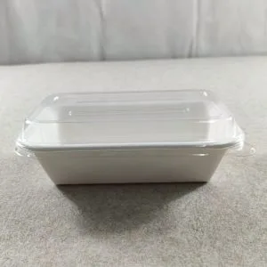 Bagasse Einweg-Lebensmittelschalen mit Deckeln Abdeckungen