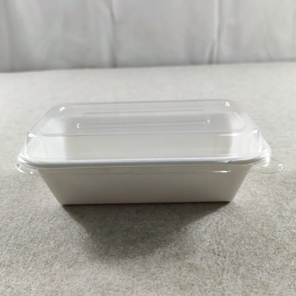 Bagasse Disposable Food Trays with Lids Covers