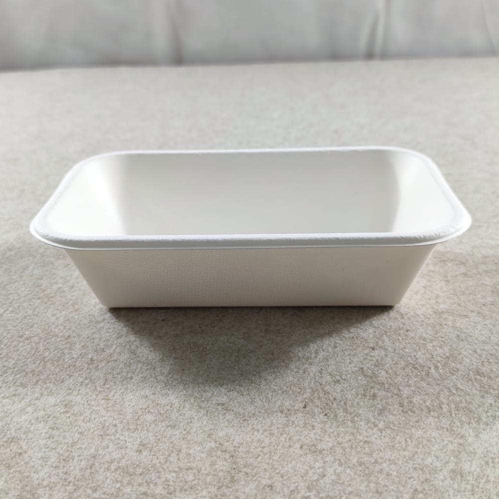 Bagasse wegwerpbakjes voor levensmiddelen met deksels