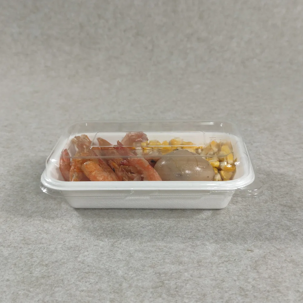 Компостируемые одноразовые лотки для сэндвичей с крышками