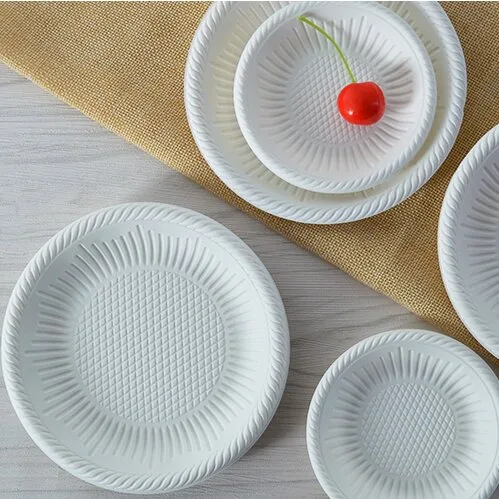 Сравнение прочности и долговечности одноразовой посуды из багассы сахарного тростника и пластиковой посуды