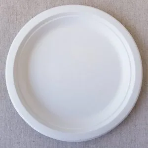 Assiettes en papier jetables écologiques