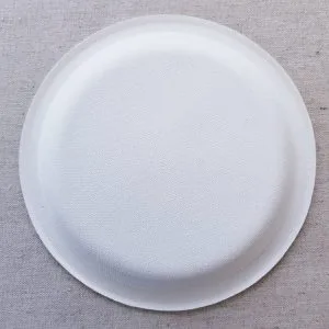 Assiettes en papier jetables écologiques