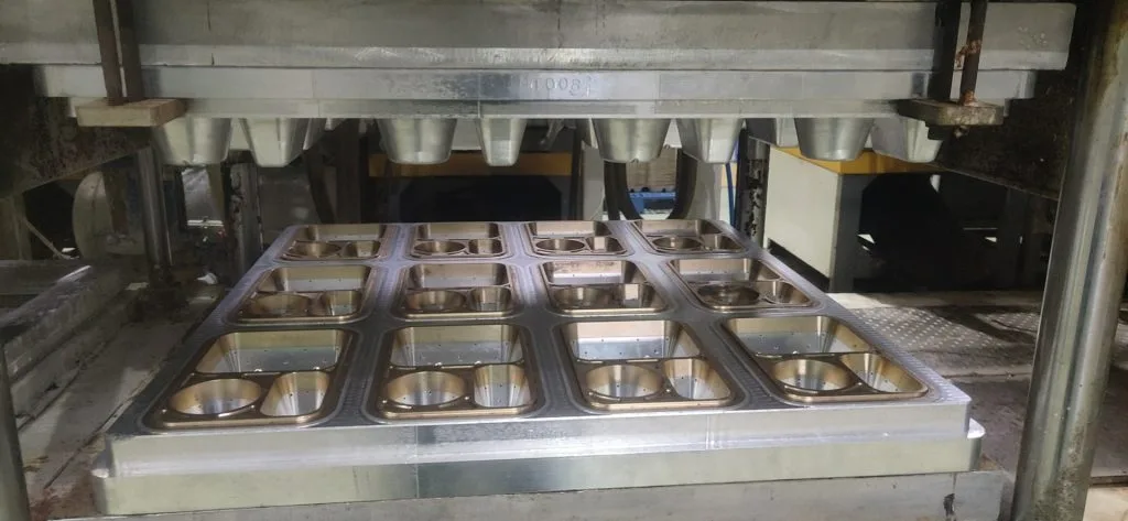 Come personalizzare i prodotti stampati in polpa di canna da zucchero sulla base del mio disegno o campione?