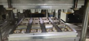 Customized Sugarcane Pulp Molded Products Customized sugarcane pulp molded food packaging products and molds