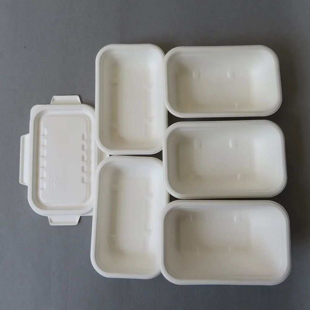 Recipientes descartáveis para comida para levar