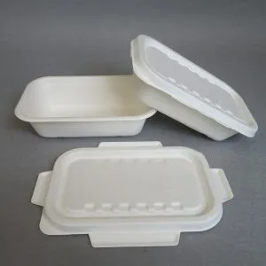 Plateaux traiteur jetables écologiques avec couvercles