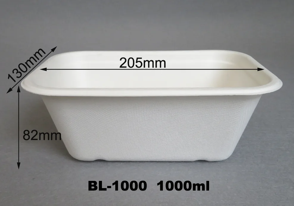 Tabuleiros de catering descartáveis e ecológicos com tampa