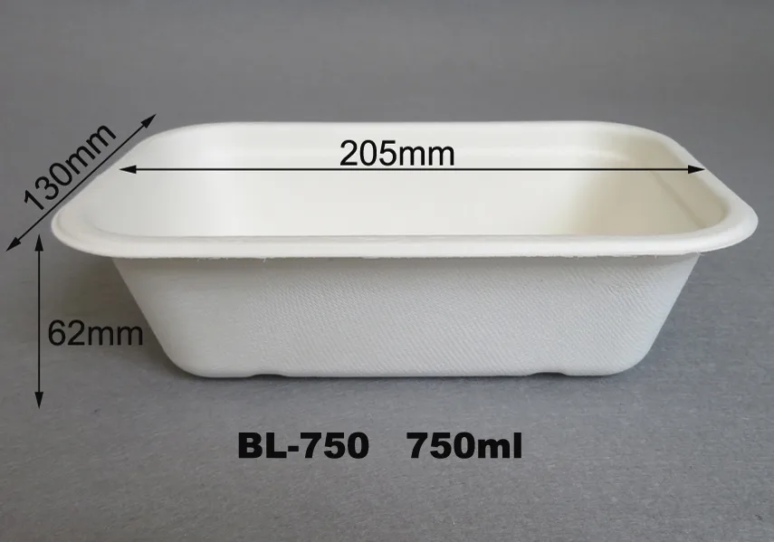 Tabuleiros de catering descartáveis e ecológicos com tampa