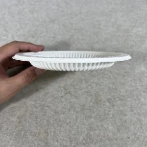Assiettes en amidon de maïs biodégradables