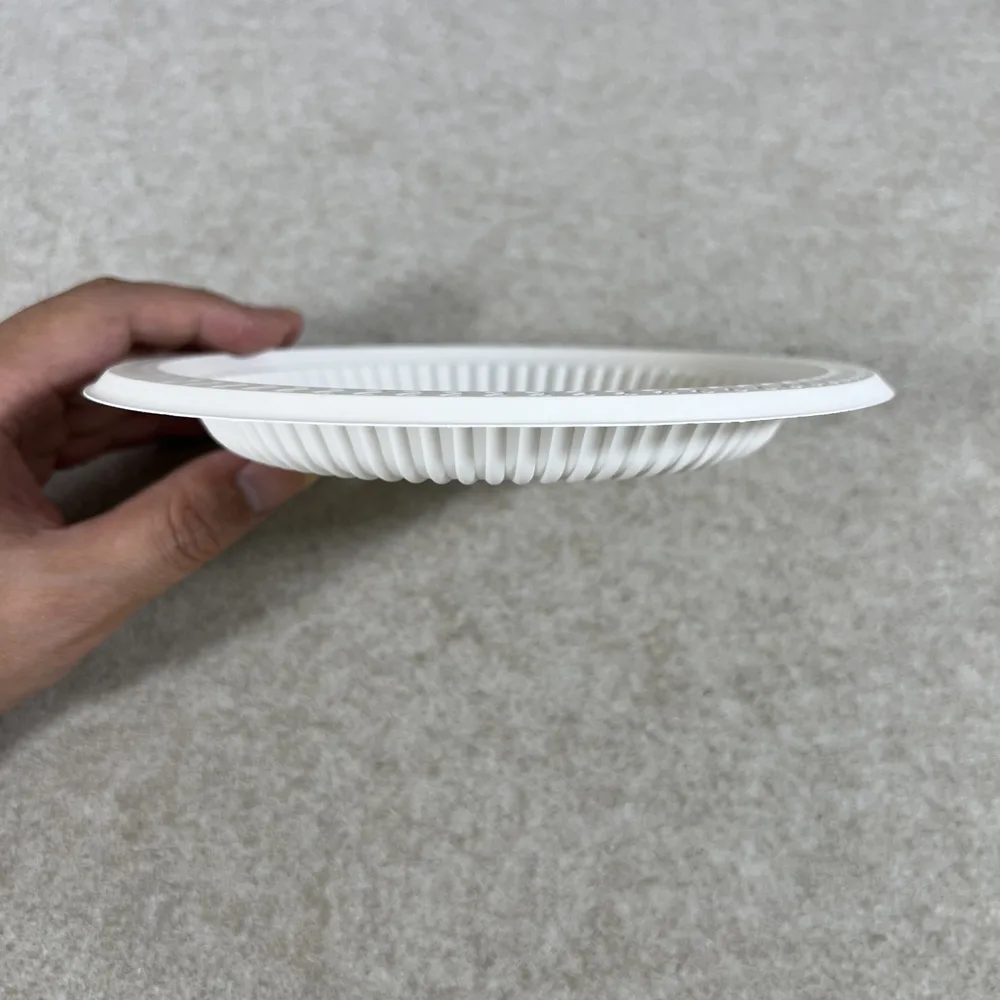 Placas de amido de milho biodegradáveis