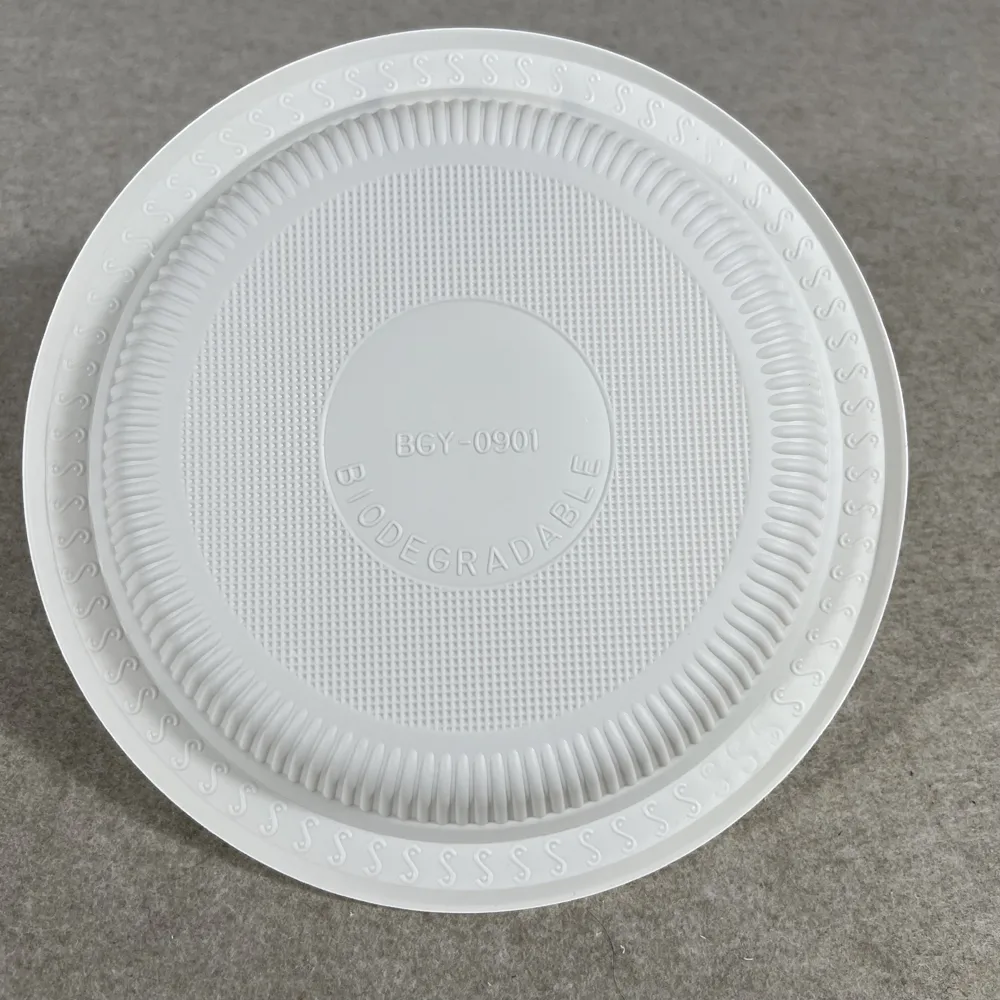 Biodegradable Plastic Plates Factory Supplier Bulk | Bioleader