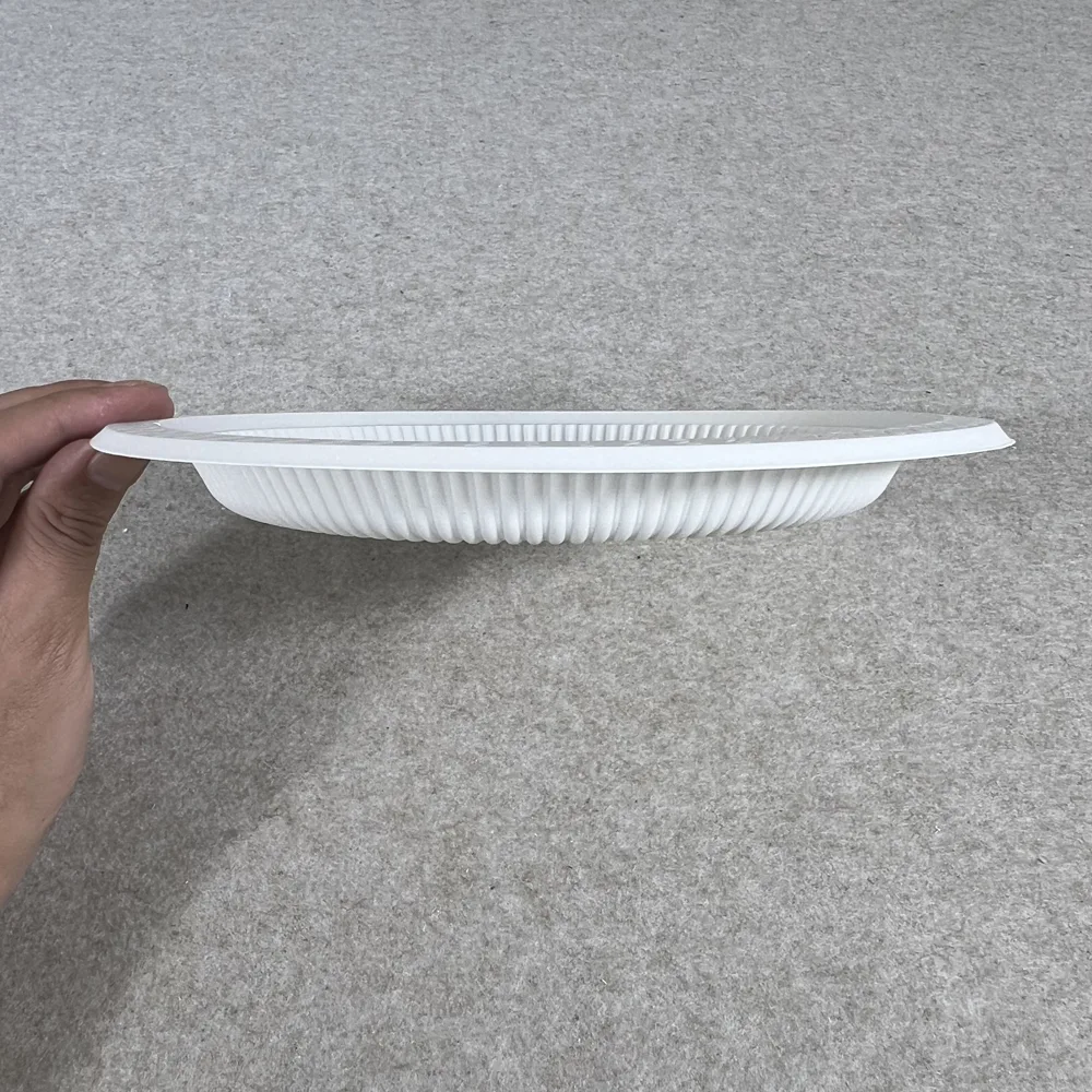 Speisestärke-Einwegteller 9 Zoll