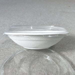 Eco Friendly Bowls with Lids Disposable