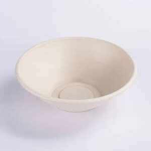 Eco Friendly Bowls with Lids Disposable