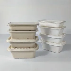 Plateaux traiteur jetables écologiques avec couvercles