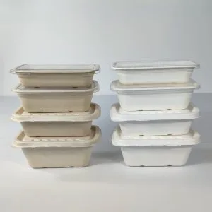 Plateaux traiteur jetables écologiques avec couvercles