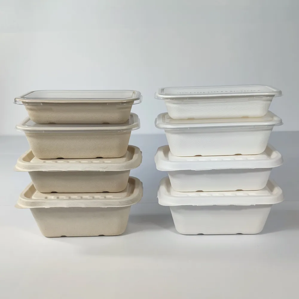 Eco Friendly Disposable Catering Trays With Lids
