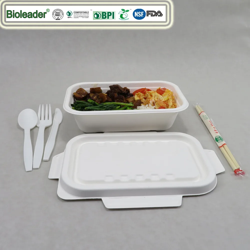 Eco Friendly Disposable Catering Trays With Lids