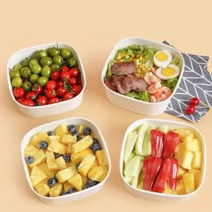 Takeaway Salad Bowls
