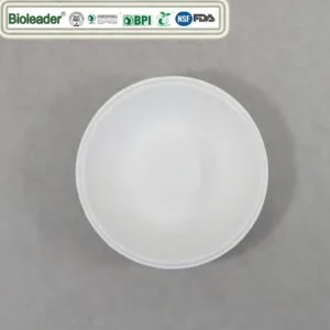 Cuencos desechables ecológicos hechos de bagazo